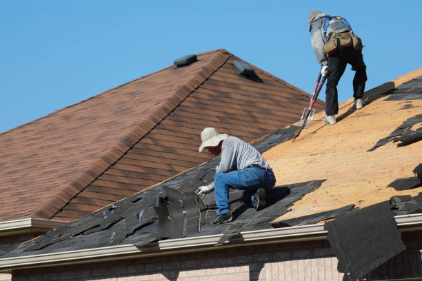 Best Solar Panel Roofing Installation  in Creedmoor, NC