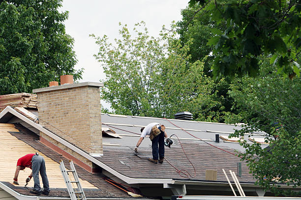 Best Gutter Installation and Repair  in Creedmoor, NC